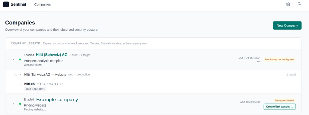 Sentinel Companies view showing Hilti estate with website asset and prospect analysis status